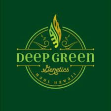 Deep Green Genetics Seeds | Hawaiian Dream + White Truffle