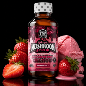 TRĒ House Magic Mushroom Syrup